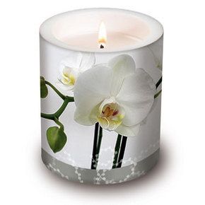 Bougie orchidée