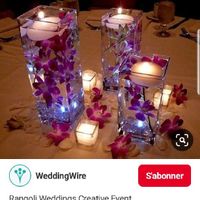 Orchidée immergée dans l eau - 1