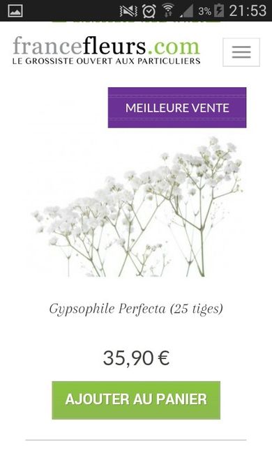 Prix gypsophile - 2