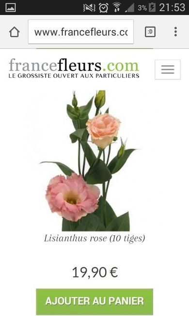 Prix gypsophile - 1