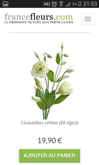 Prix gypsophile - 2