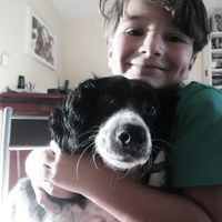 Comment s'appellent vos animaux poilus ? - 1