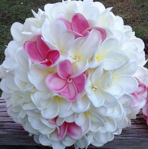 Bouquet frangipanier