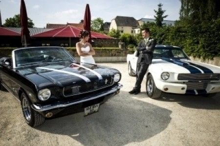 mustang