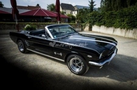 mustang