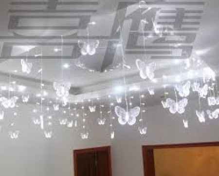 papillons
