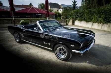 mustang