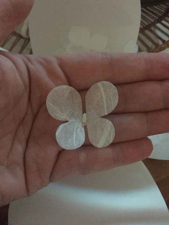 Mes petits papillons - 1