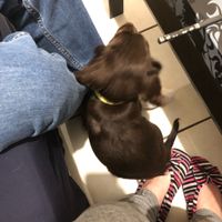 Résumes ta semaine en une photo  📸 - 1