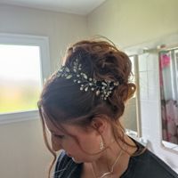 Vigne de cheveux - 2