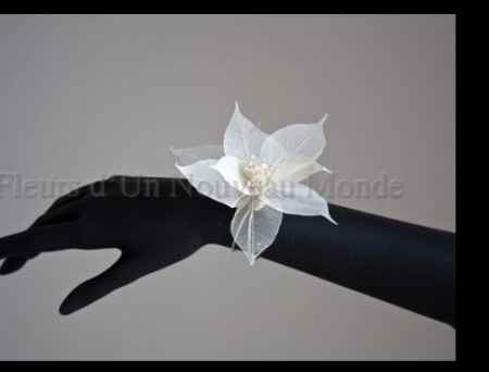 Bracelet gamme Eva