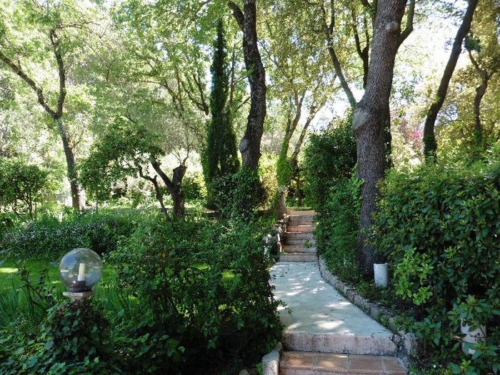 3 hectares