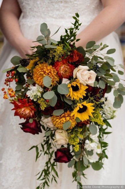Quelles fleurs choisir pour mon bouquet ? 2
