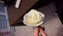 test fleur en filtre