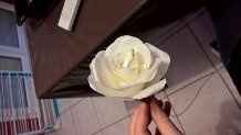 test fleur en filtre