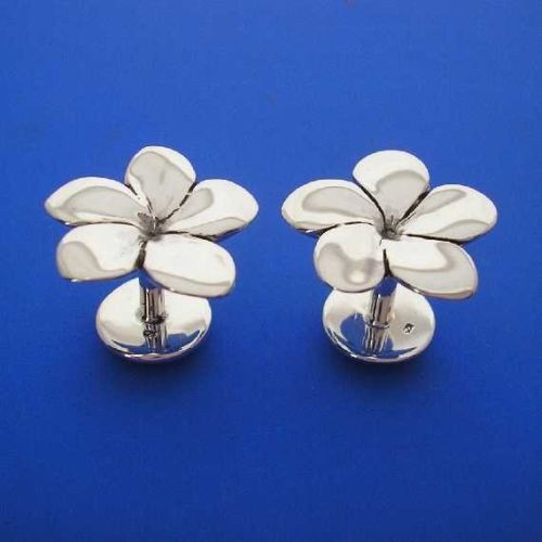 Boutons en fleurs