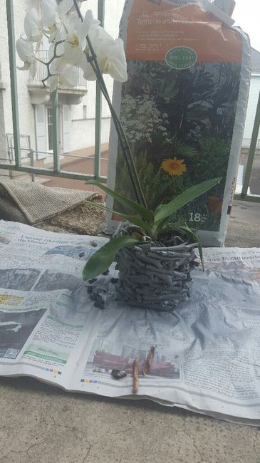 Votre avis 1 er diy - 2