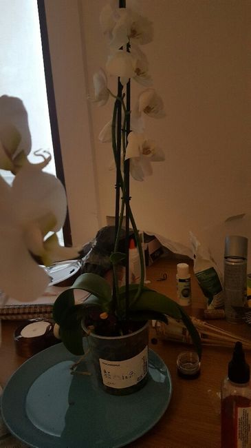 Votre avis 1 er diy - 3