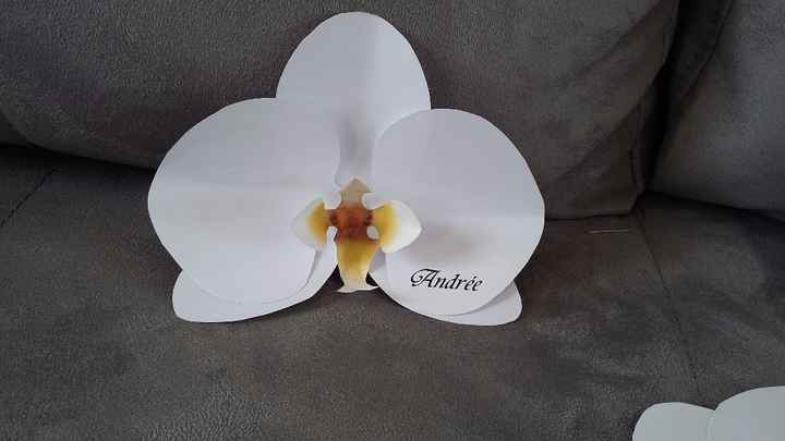 orchidee porte nom