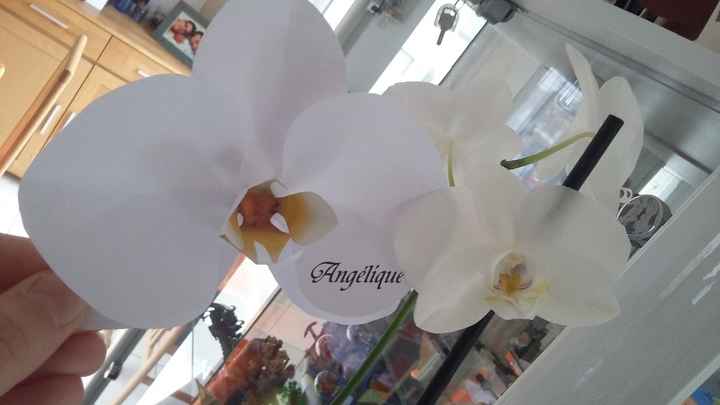 orchidee 