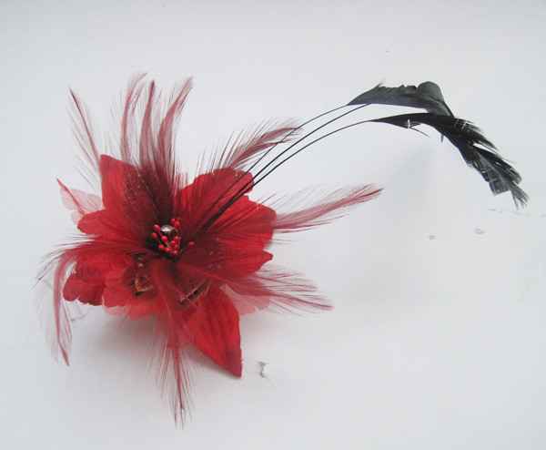 accessoire cheveux