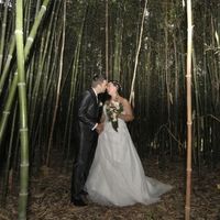 dans le jardin des plantes