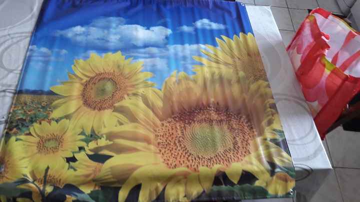 Dévalisé le magasin - 1