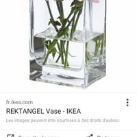 Fleurs+ vases - 1