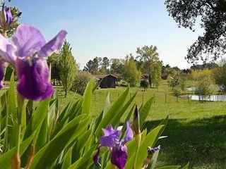 Mauvaise nouvelle, grosse déception - 2