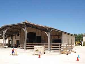 Mauvaise nouvelle, grosse déception - 3