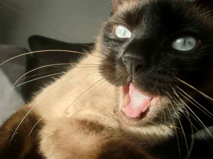 Un arbre à empreinte qui nous ressemble - 2