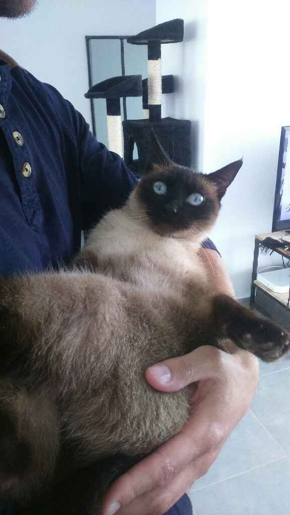 Nos amis les bêtes - 1