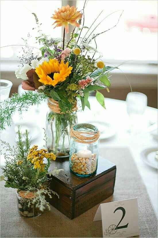 Autour du tournesol - 2