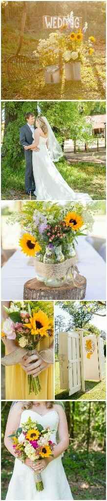 Autour du tournesol - 4