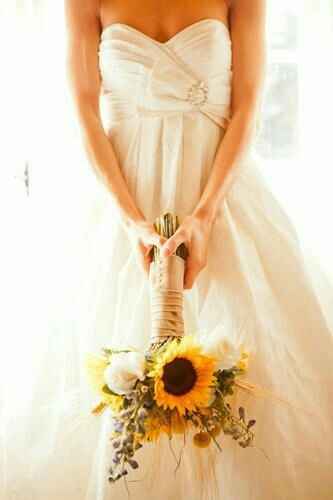 Autour du tournesol - 6