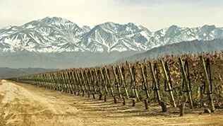 Inspiration voyage de noce - amérique latine - 1