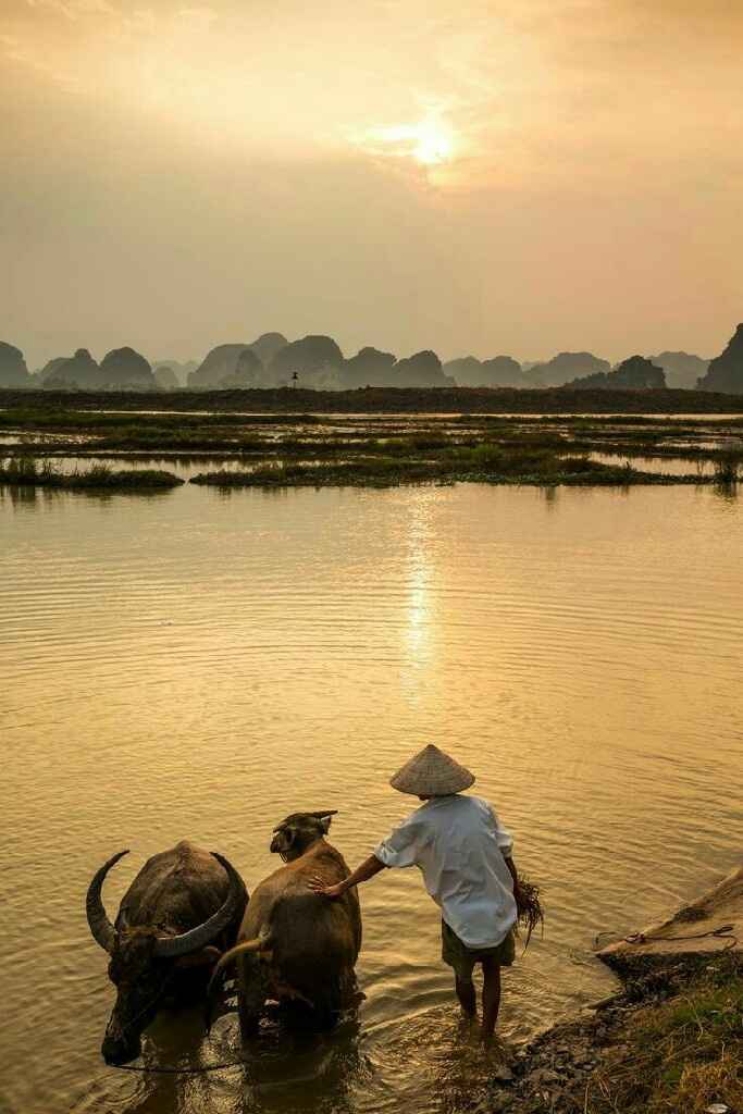 Inspiration voyage de noce - asie - 6