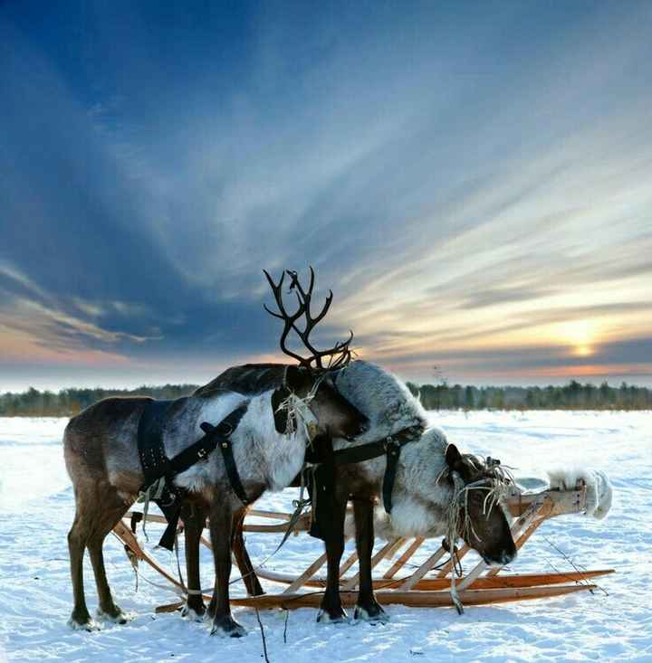 Inspiration voyage de noce - europe du nord - 6