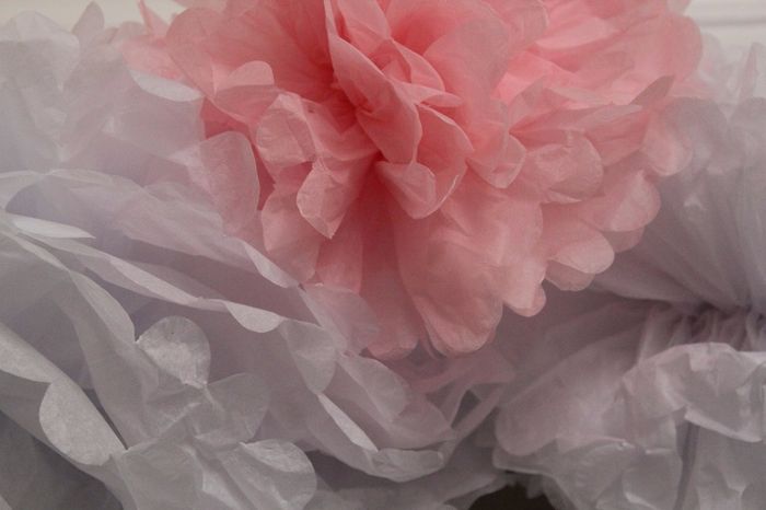 pompoms