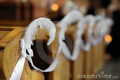 plumes rose et blanc