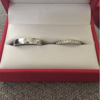 Nos alliances !!! - 1