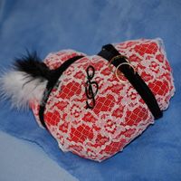 coussin des alliances