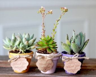 Idée cadeau pour les invités  - 1