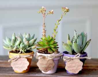 Idée cadeau pour les invités  - 1