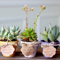 Idée cadeau pour les invités  - 1