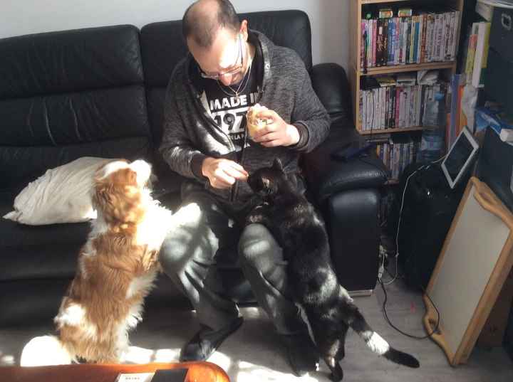 Rubby le chien, baloo le chat en mode j'ai faim 