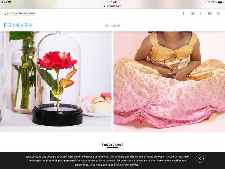Rose sous cloche 12 euros je crois