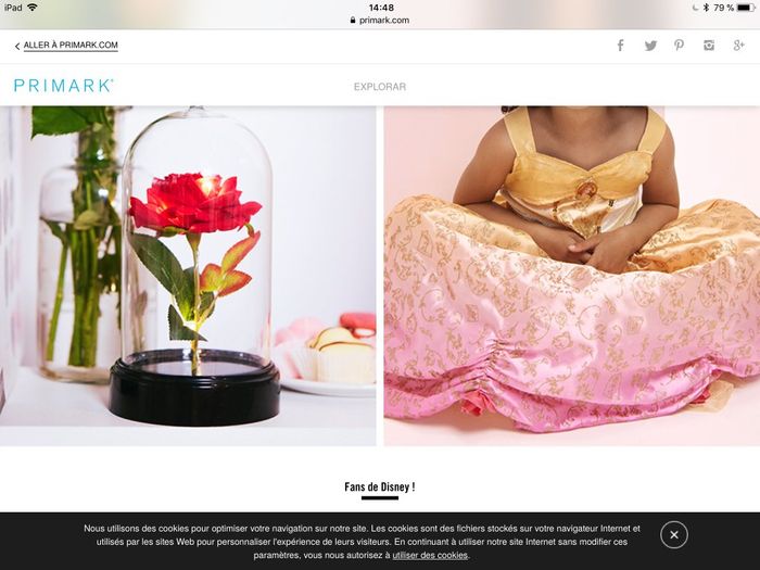 Rose sous cloche 12 euros je crois