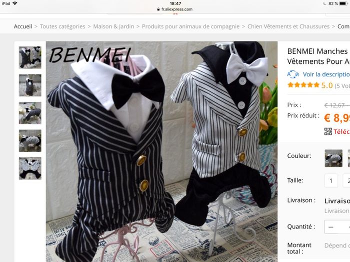 Costume pour nos toutous 