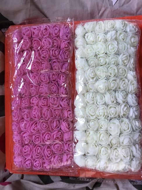 Roses de chez wish 
